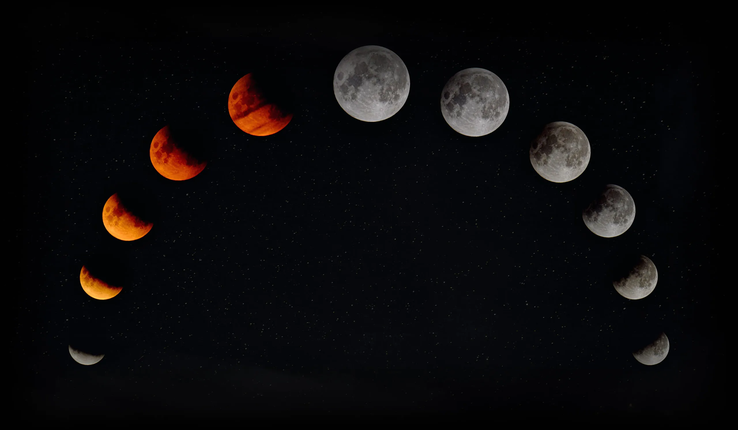 The Story of Our Project